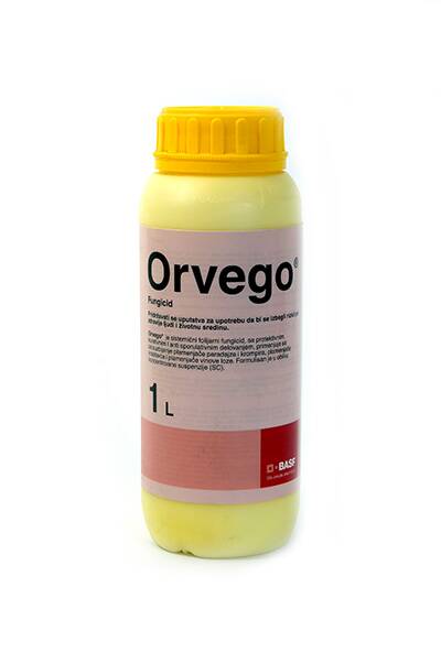 Orvego 1/1