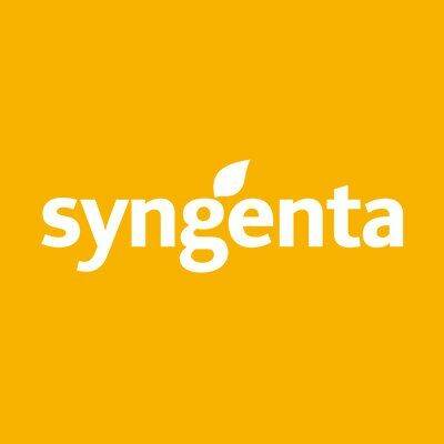 Syngenta kukuruz chorintos (fao 300) + force