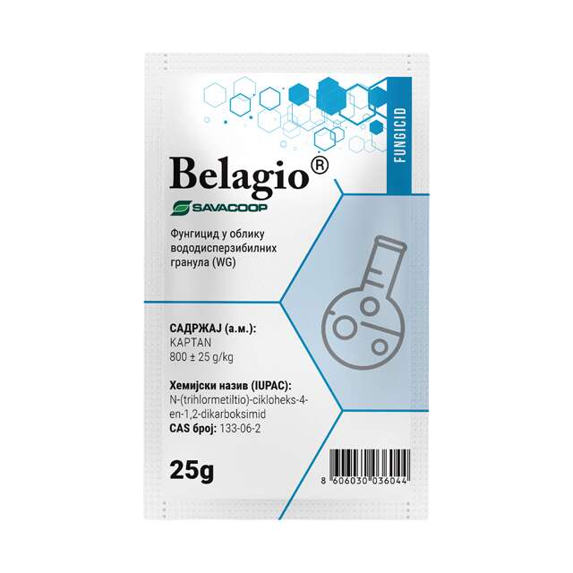 Belagio wg