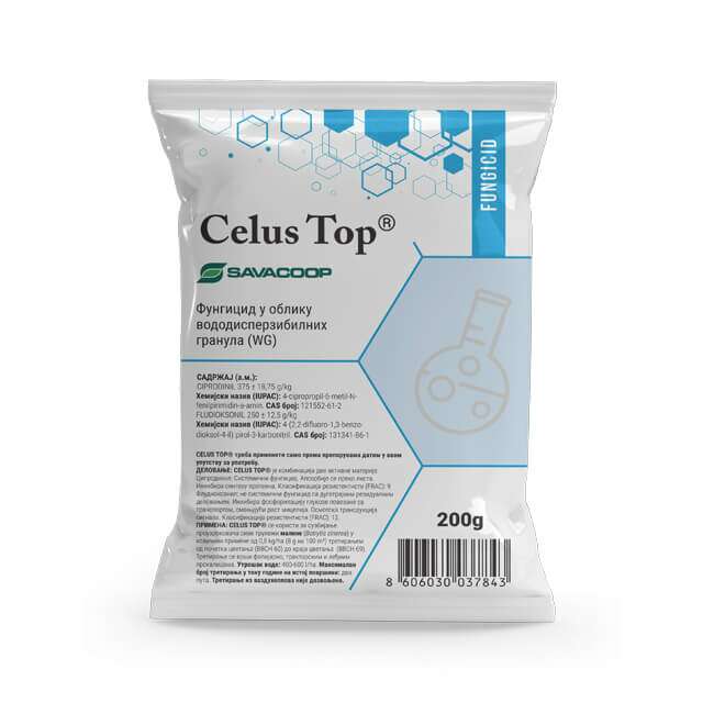 Celus top wg