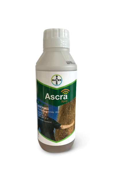 Ascra xpro